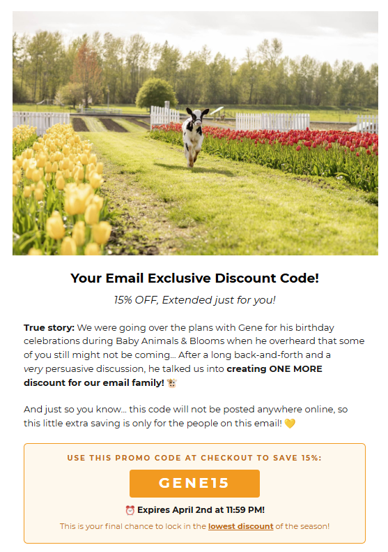 A branded TicketSpice email we designed, shown on a phone
