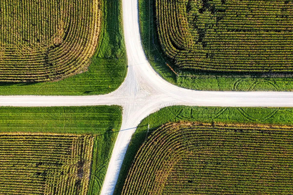 Aerial view of two gravel country roads crossing between green and gold crop fields